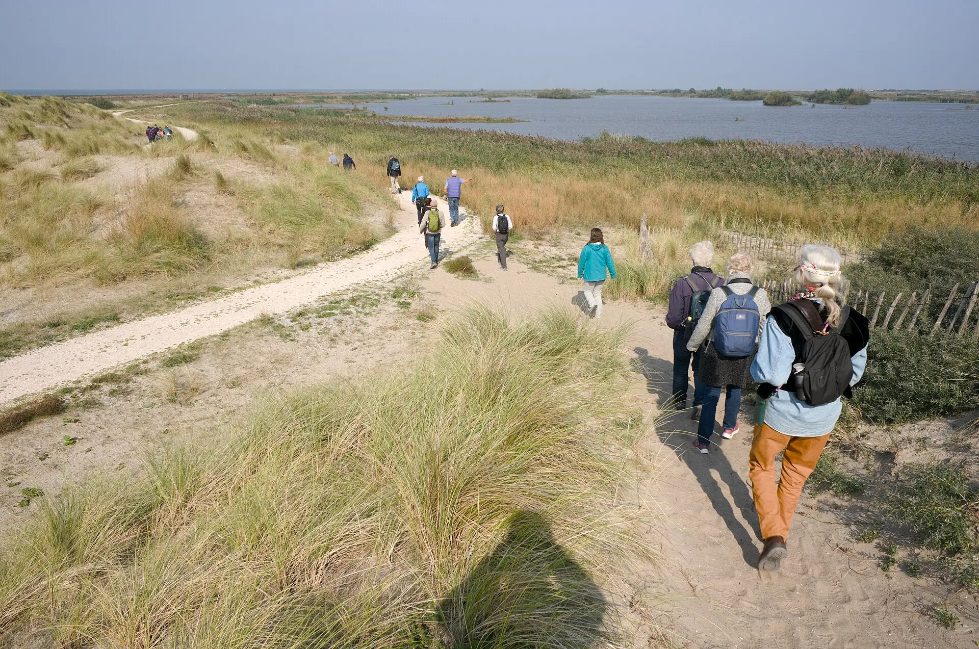 Wandelaars op een zandpad tussen de duinen van de Markerwadden